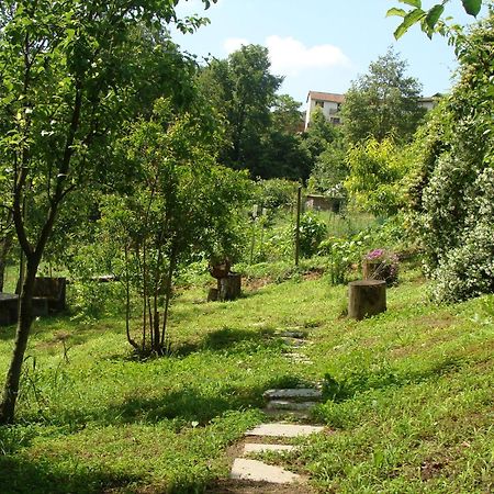 Appartamento In Monferrato Di Dominga Portacomaro Kültér fotó