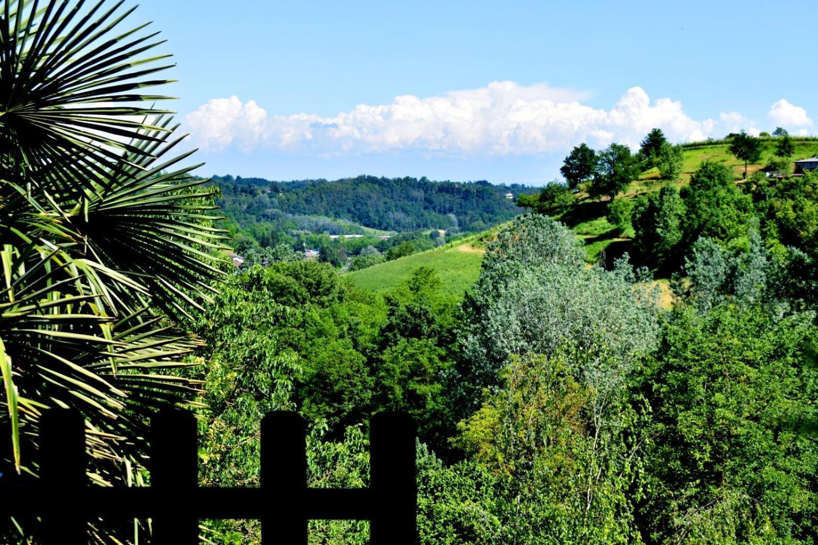 Appartamento In Monferrato Di Dominga Portacomaro Kültér fotó