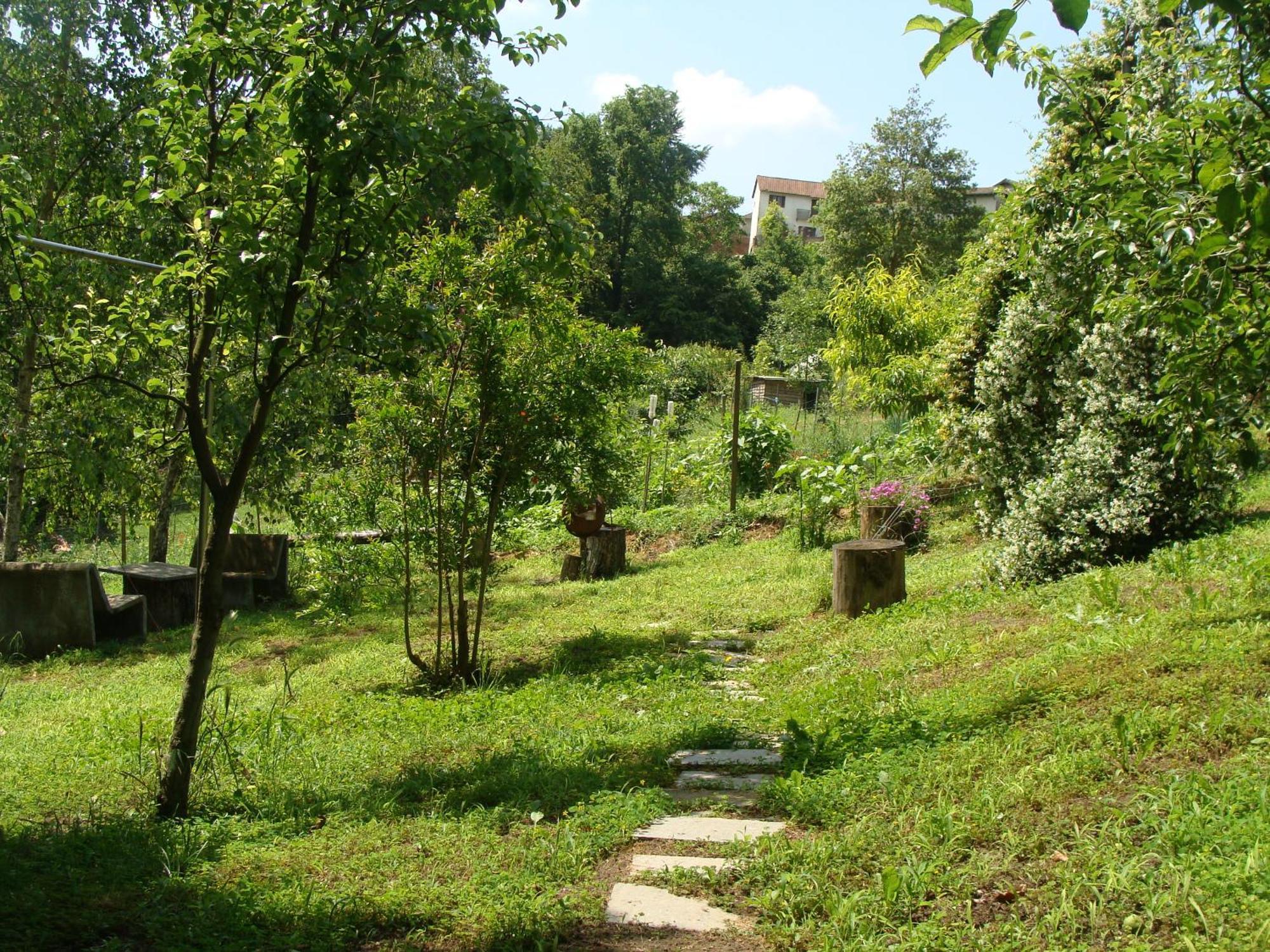 Appartamento In Monferrato Di Dominga Portacomaro Kültér fotó