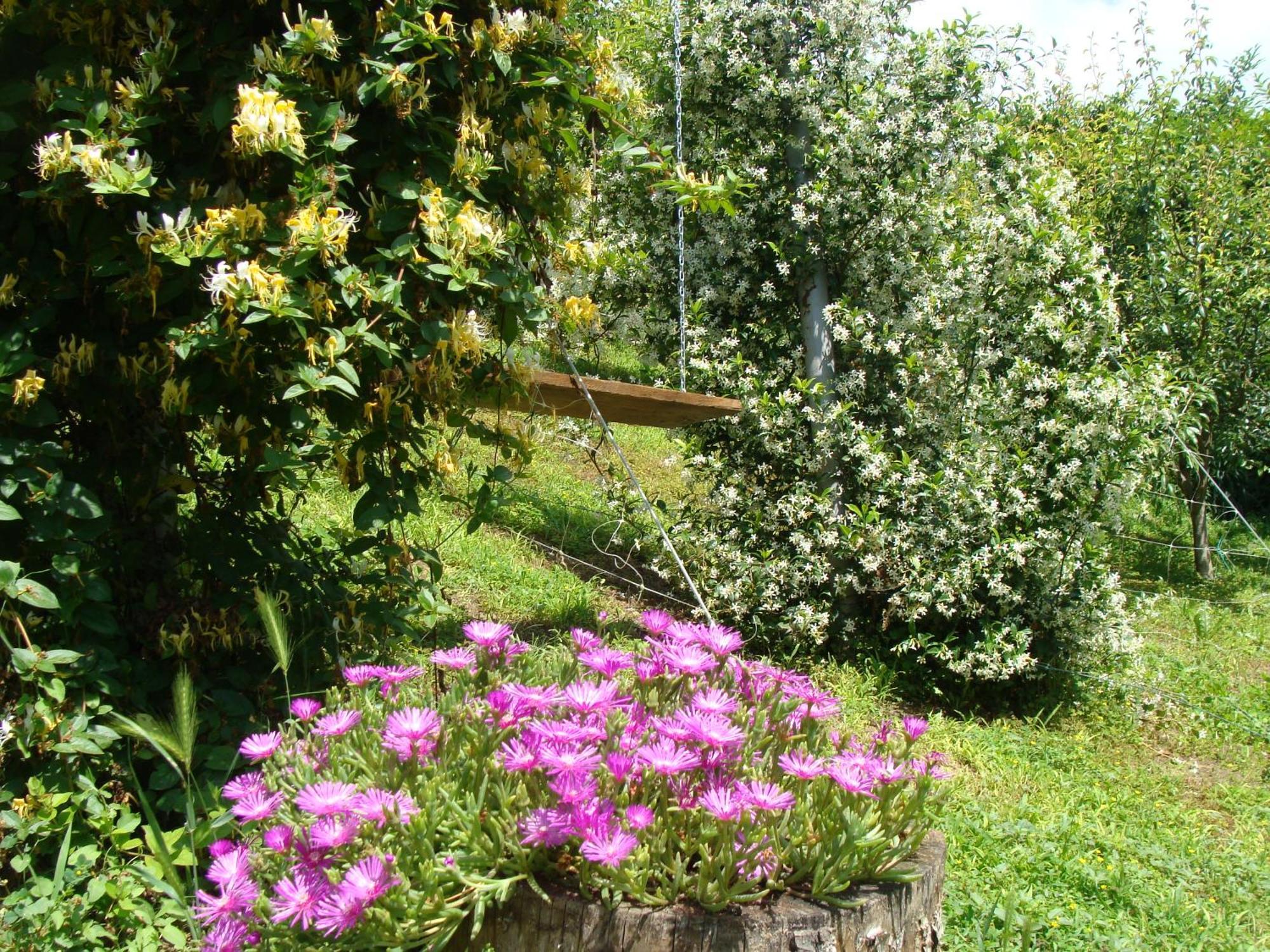 Appartamento In Monferrato Di Dominga Portacomaro Kültér fotó