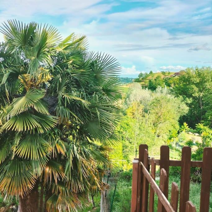 Appartamento In Monferrato Di Dominga Portacomaro Kültér fotó